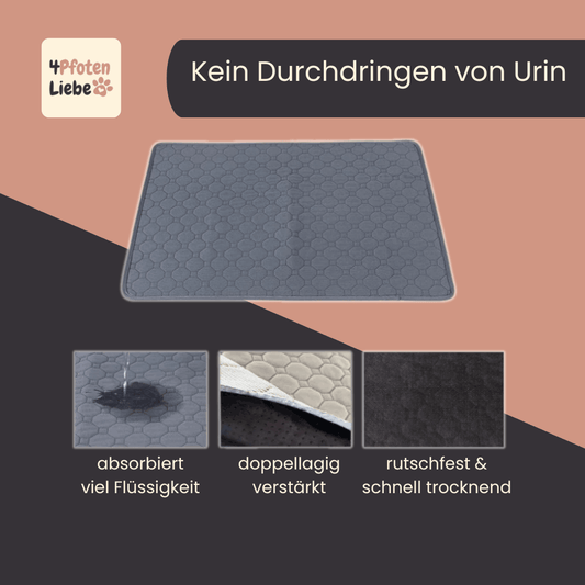DrySafe Trainings- und Urinmatte für Hunde und Katzen