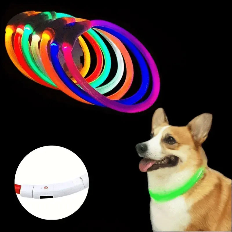 4Pfotenliebe Shop LightLoop - LED Hundehalsband für Sichtbarkeit & Sicherheit bei jedem Spaziergang