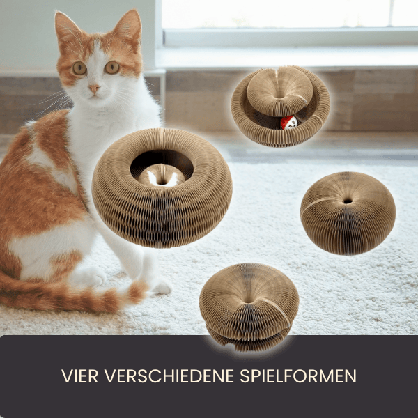 4Pfotenliebe Shop Camel Magic Cat – das Kratzpielzeug, das Katzen lieben und Möbel bleiben heil