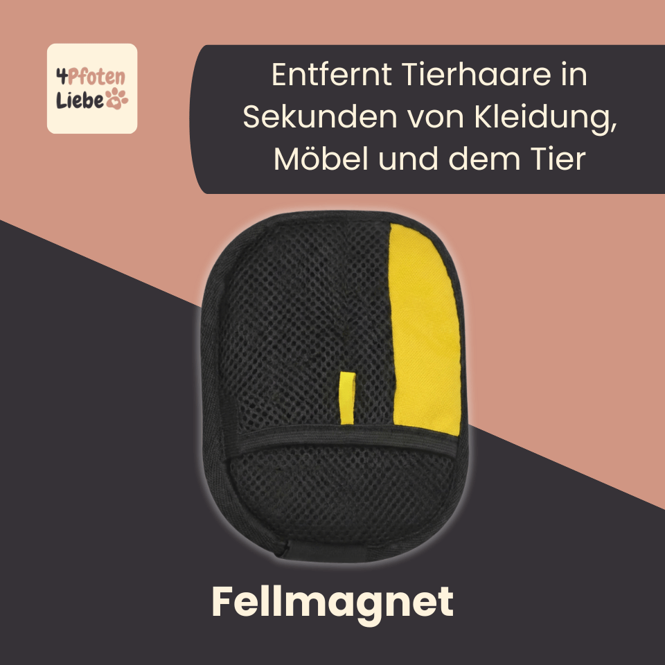 Fellmagnet -entfernt 90% loser Tierhaare in Sekunden entfernt 4Pfotenliebe 
