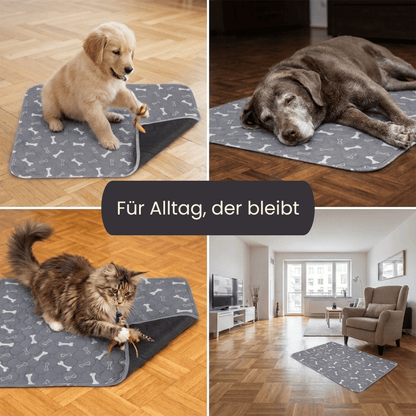 drysafe-trainings-und-urinmatte-fur-hunde 4Pfotenliebe 