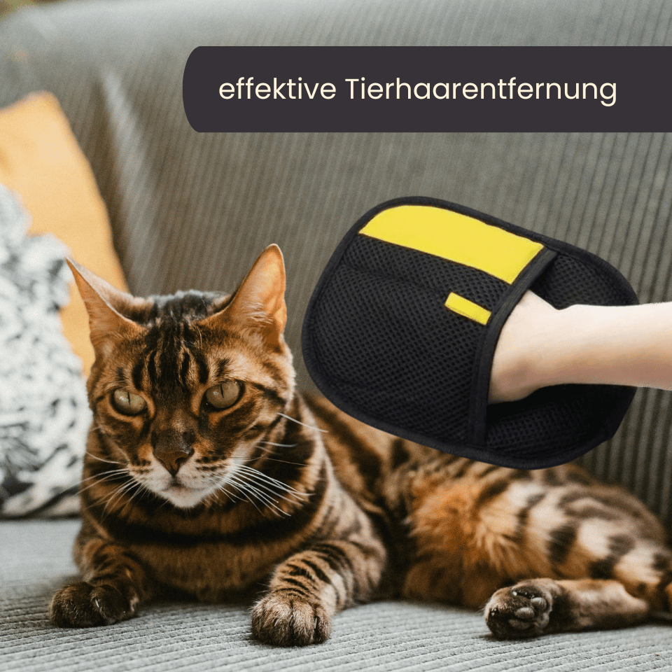 Fellmagnet -entfernt 90% loser Tierhaare in Sekunden entfernt 4Pfotenliebe 