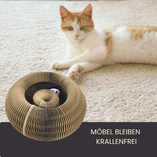 Magic Cat – das Kratzpielzeug, das Katzen lieben und Möbel bleiben heil