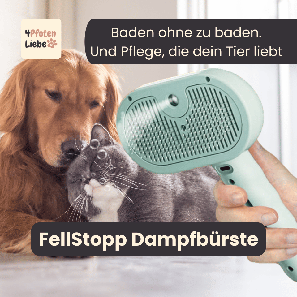 FellStopp Dampfbürste für Katzen & Hunde - sanfte Pflege, weniger Haarausfall, glänzendes Fell 4Pfotenliebe 