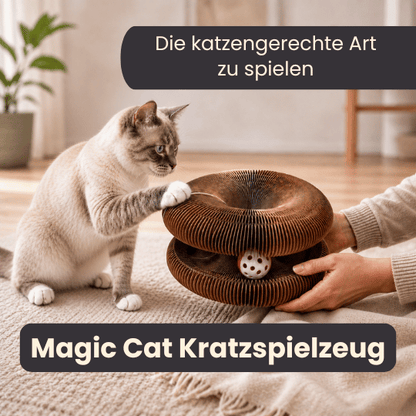 Magic Cat – das Kratzpielzeug, das Katzen lieben und Möbel bleiben heil 4Pfotenliebe Shop 