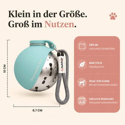 PfotenDurst Go- Edelstahltrinkflasche für Gassi, Reisen und unterwegs 4Pfotenliebe 