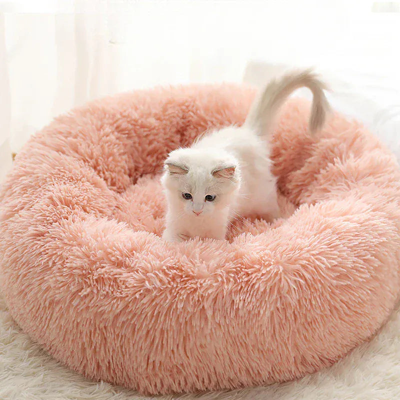DreamPaw – Flauschiges Katzen- & Hundebett für sicheren, warmen Schlaf 4Pfotenliebe Shop