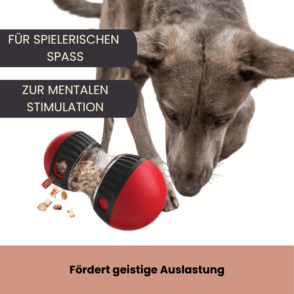 Mein Shop Hunde BrainBite – Intelligentes Futterball-Spielzeug für Hunde