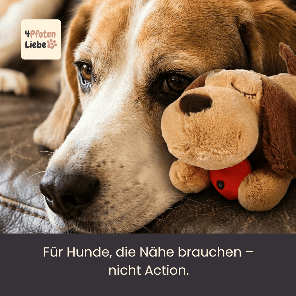4Pfotenliebe BuddyBeat Seelentröster mit Herzschlag (35x18x20cm) BuddyBeat Seelentröster - weiches Kuscheltier mit Herzschlag-Gefühl