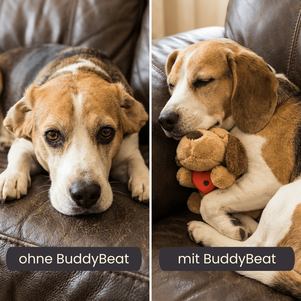 4Pfotenliebe BuddyBeat Seelentröster mit Herzschlag (35x18x20cm) BuddyBeat Seelentröster - weiches Kuscheltier mit Herzschlag-Gefühl