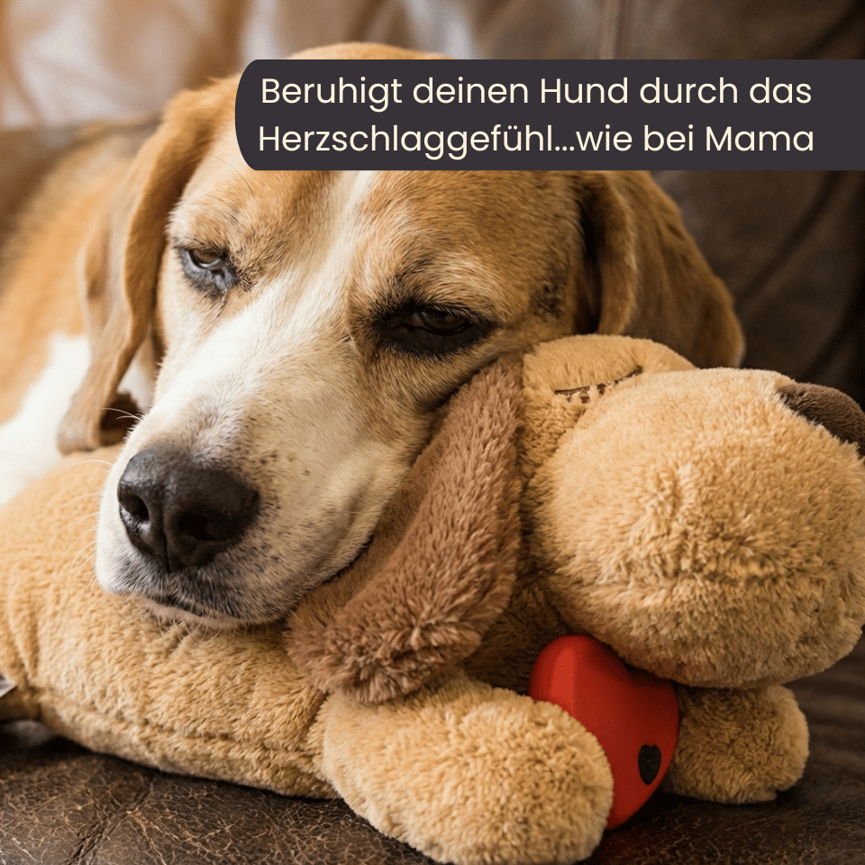 4Pfotenliebe BuddyBeat Seelentröster mit Herzschlag (35x18x20cm) BuddyBeat Seelentröster - weiches Kuscheltier mit Herzschlag-Gefühl