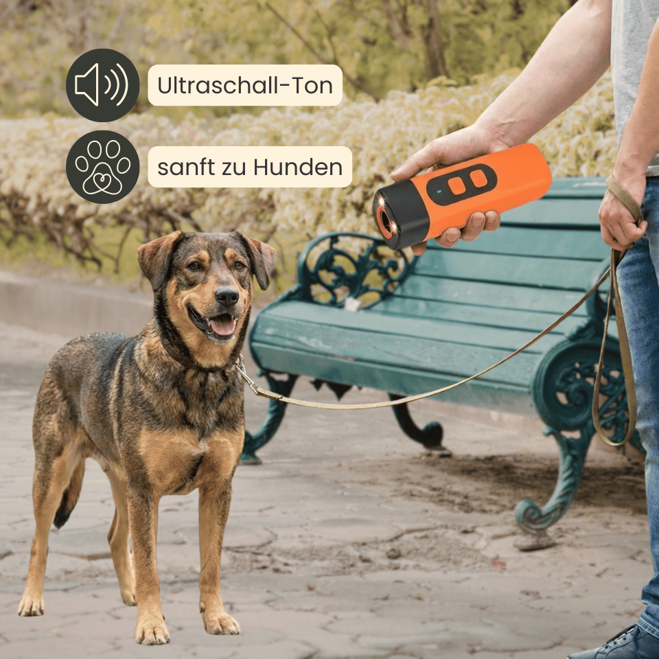 4Pfotenliebe CalmControl CalmControl - stoppt das Bellen sofort