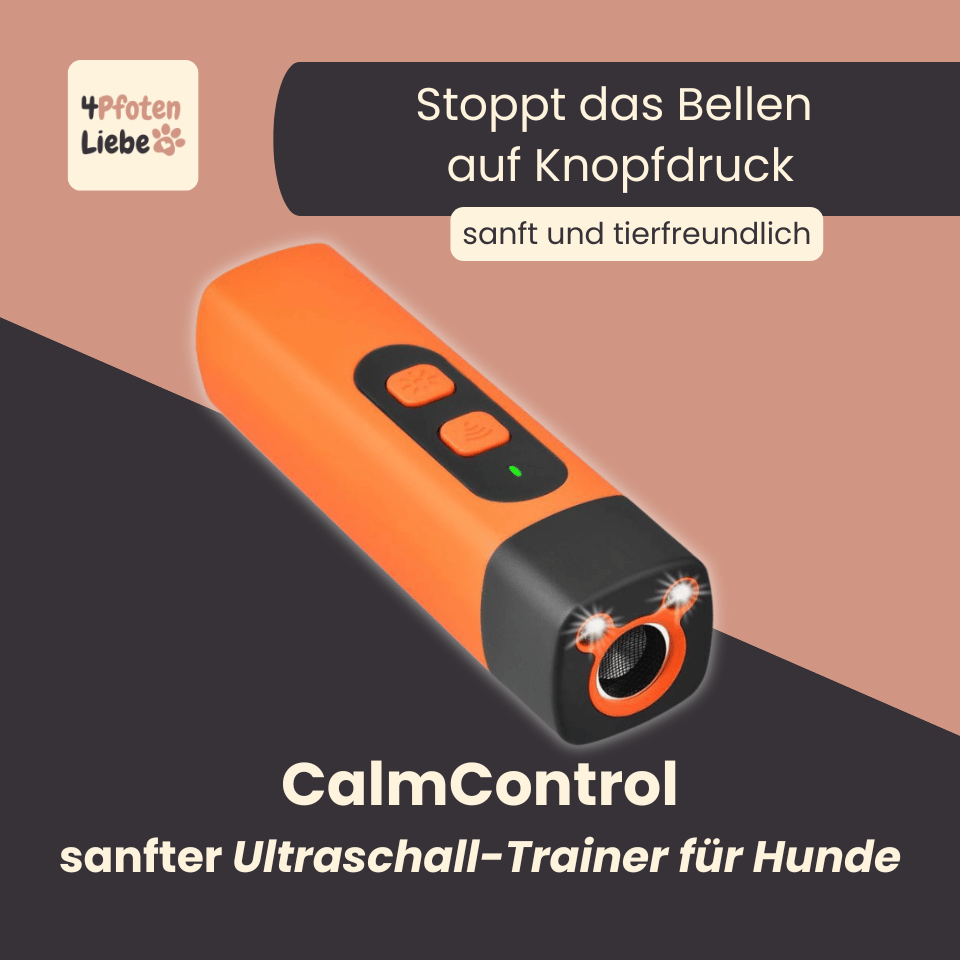 4Pfotenliebe CalmControl CalmControl - stoppt das Bellen sofort