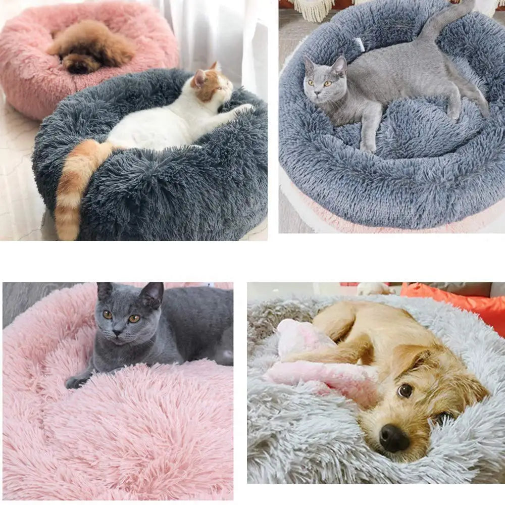 4Pfotenliebe Shop DreamPaw – Flauschiges Katzen- & Hundebett für sicheren, warmen Schlaf