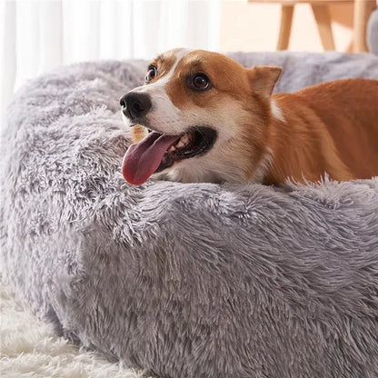 4Pfotenliebe Shop DreamPaw – Flauschiges Katzen- & Hundebett für sicheren, warmen Schlaf