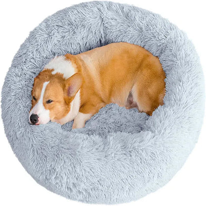 4Pfotenliebe Shop DreamPaw – Flauschiges Katzen- & Hundebett für sicheren, warmen Schlaf