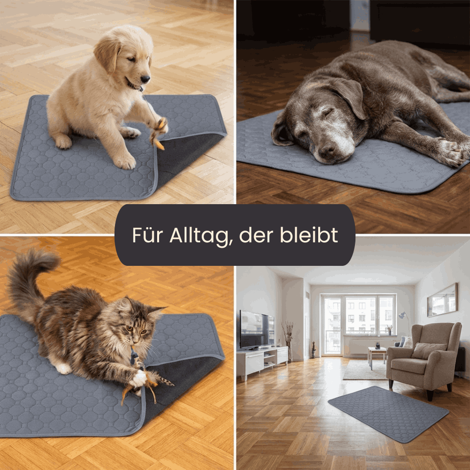 4Pfotenliebe Hunde, Katzen DrySafe Trainings- und Urinmatte für Hunde und Katzen
