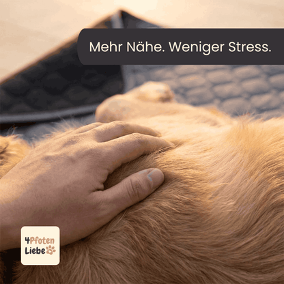 4Pfotenliebe Hunde, Katzen DrySafe Trainings- und Urinmatte für Hunde und Katzen