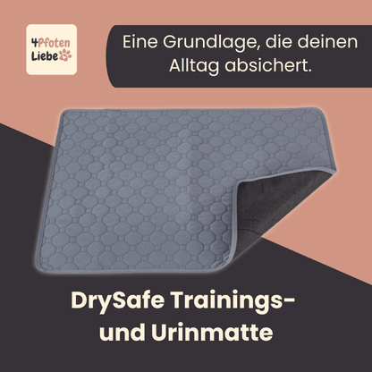 4Pfotenliebe Hunde, Katzen grau / XS/50x35cm DrySafe Trainings- und Urinmatte für Hunde und Katzen