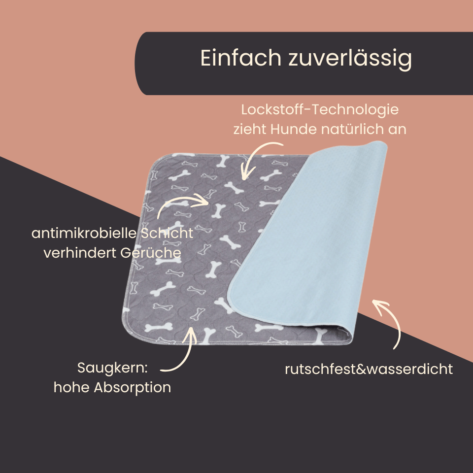 DrySafe Urinmatte für Hunde 4Pfotenliebe 
