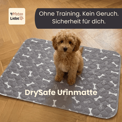 DrySafe Urinmatte für Hunde 4Pfotenliebe 