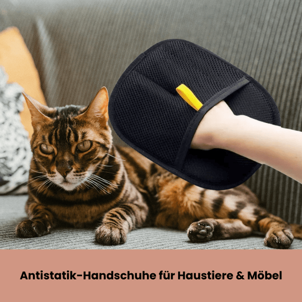 Fellmagnet - der sanfte Handschuh, der 90% loser Tierhaare in Sekunden entfernt