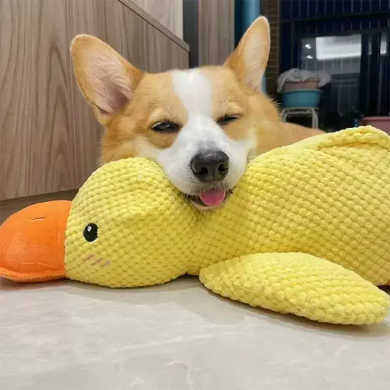 4Pfotenliebe Shop HugMe Duck - interaktives Kuscheltier & Spielzeug in einem