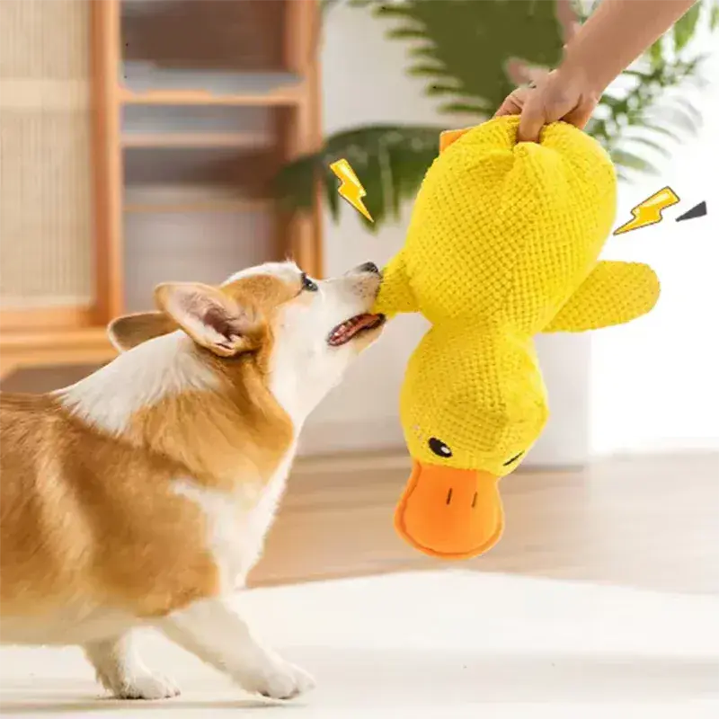 4Pfotenliebe Shop HugMe Duck - interaktives Kuscheltier & Spielzeug in einem