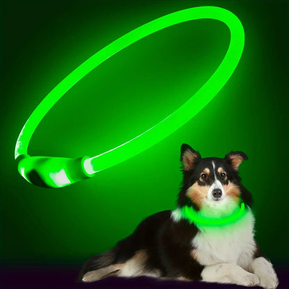 4Pfotenliebe Shop Grün / S (Länge 35cm) LightLoop - LED Hundehalsband für Sichtbarkeit & Sicherheit bei jedem Spaziergang