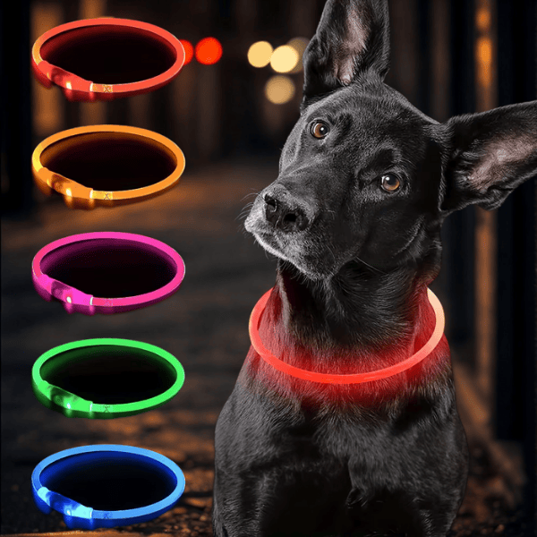 4Pfotenliebe Shop LightLoop - LED Hundehalsband für Sichtbarkeit & Sicherheit bei jedem Spaziergang