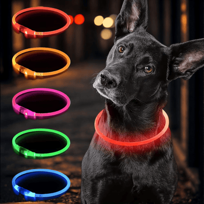4Pfotenliebe Shop LightLoop - LED Hundehalsband für Sichtbarkeit & Sicherheit bei jedem Spaziergang