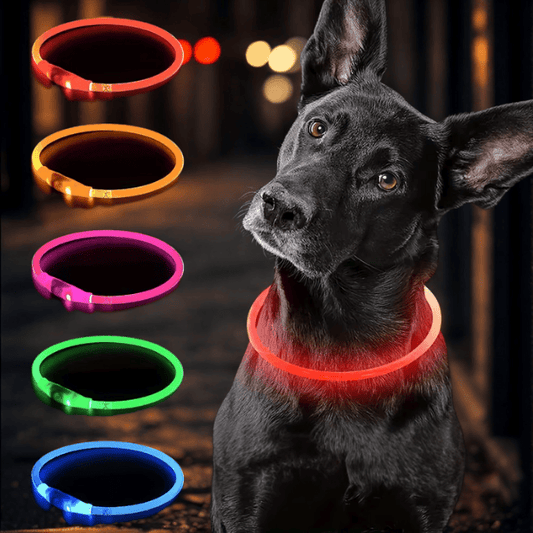 4Pfotenliebe Shop LightLoop - LED Hundehalsband für Sichtbarkeit & Sicherheit bei jedem Spaziergang