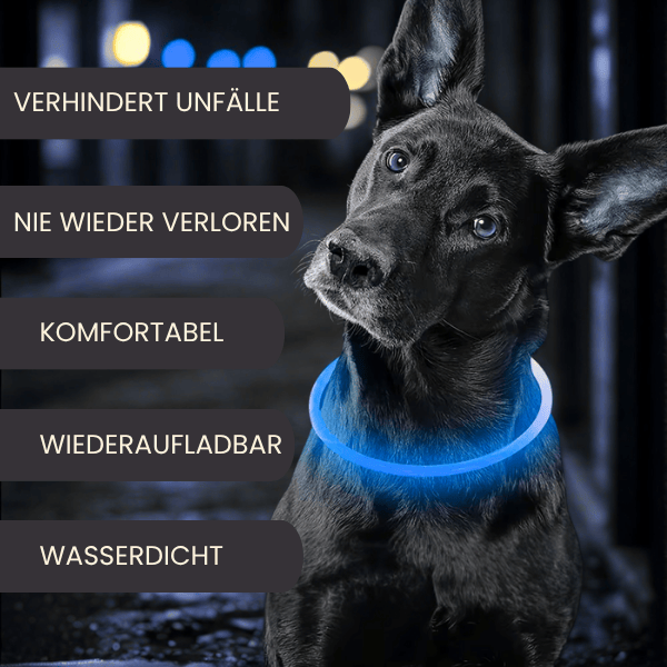 4Pfotenliebe Shop LightLoop - LED Hundehalsband für Sichtbarkeit & Sicherheit bei jedem Spaziergang