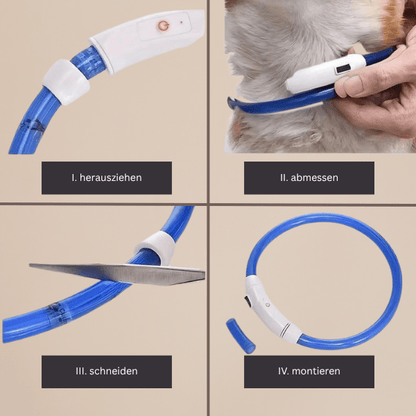 4Pfotenliebe Shop LightLoop - LED Hundehalsband für Sichtbarkeit & Sicherheit bei jedem Spaziergang