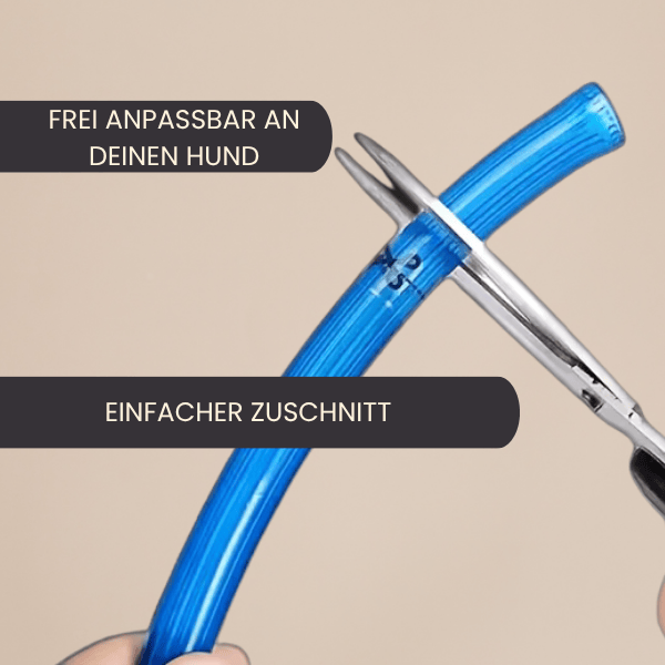 4Pfotenliebe Shop LightLoop - LED Hundehalsband für Sichtbarkeit & Sicherheit bei jedem Spaziergang
