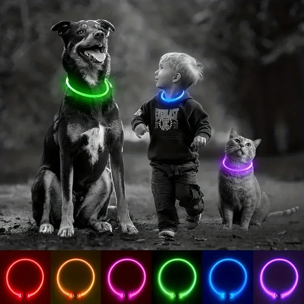 4Pfotenliebe Shop LightLoop - LED Hundehalsband für Sichtbarkeit & Sicherheit bei jedem Spaziergang