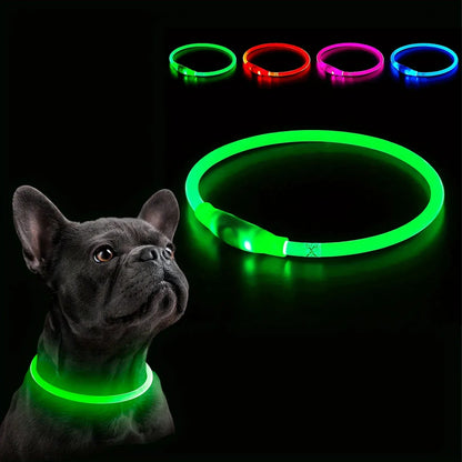 4Pfotenliebe Shop LightLoop - LED Hundehalsband für Sichtbarkeit & Sicherheit bei jedem Spaziergang