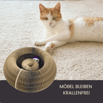 4Pfotenliebe Shop Camel Magic Cat – das Kratzpielzeug, das Katzen lieben und Möbel bleiben heil