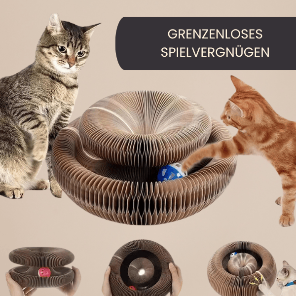 4Pfotenliebe Shop Camel Magic Cat – das Kratzpielzeug, das Katzen lieben und Möbel bleiben heil