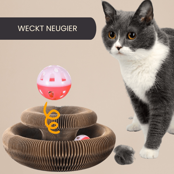 4Pfotenliebe Shop Camel Magic Cat – das Kratzpielzeug, das Katzen lieben und Möbel bleiben heil