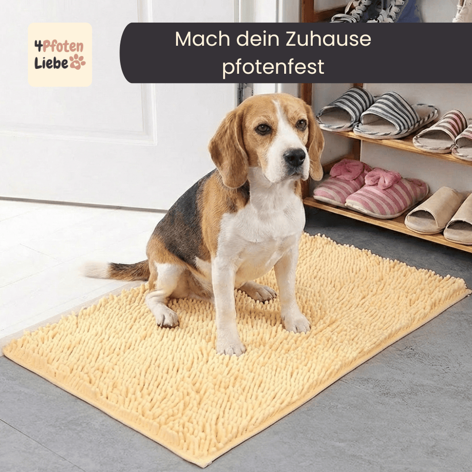 4Pfotenliebe beige / 50x80 cm PfotenStop Schmutzfängermatte - hält Matsch, Dreck und Pfotenabdrücke draußen