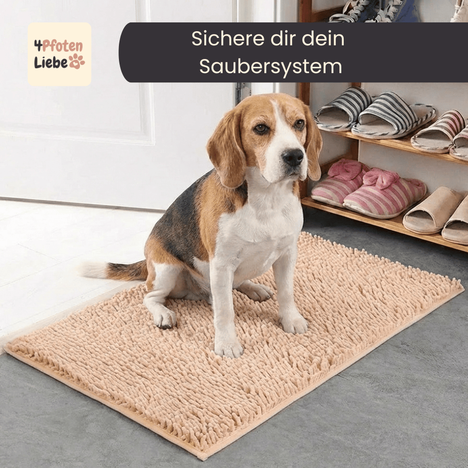 4Pfotenliebe camel / 50x80 cm PfotenStop Schmutzfängermatte - hält Matsch, Dreck und Pfotenabdrücke draußen