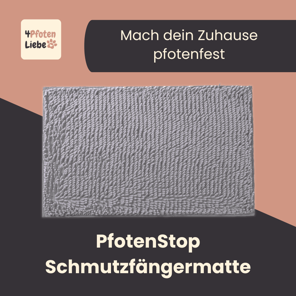 4Pfotenliebe hellgrau / 50x80 cm PfotenStop Schmutzfängermatte - hält Matsch, Dreck und Pfotenabdrücke draußen