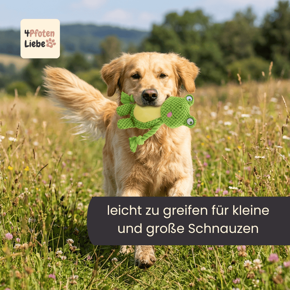 4Pfotenliebe Hunde RambaZamba Freund: Beiß-, Zerr- und Kuscheltier in einem