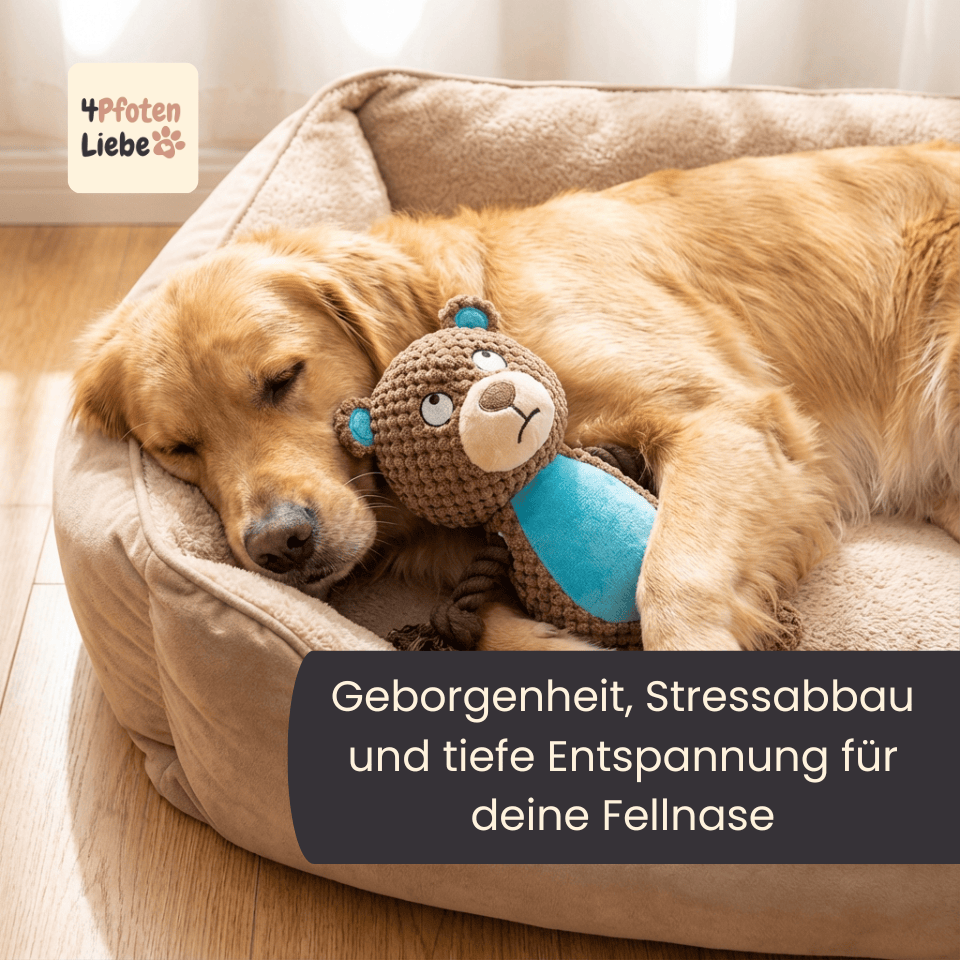 4Pfotenliebe Hunde RambaZamba Freund: Beiß-, Zerr- und Kuscheltier in einem