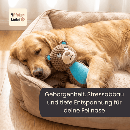 4Pfotenliebe Hunde RambaZamba Freund: Beiß-, Zerr- und Kuscheltier in einem