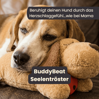BuddyBeat Seelentröster - weiches Kuscheltier mit Herzschlag-Gefühl 4Pfotenliebe 